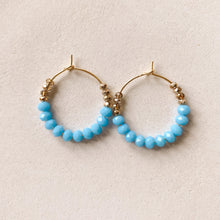 Load image into Gallery viewer, Crystal Earrings
